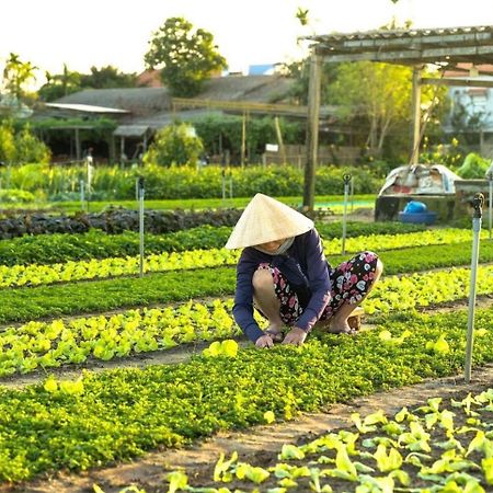 Hoi An Cabbage Garden Apartment Exterior photo