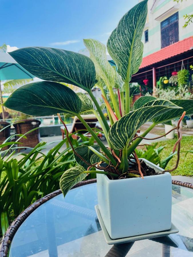 Hoi An Cabbage Garden Apartment Exterior photo