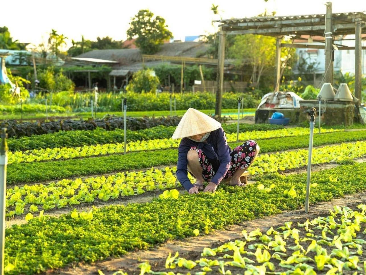 Hoi An Cabbage Garden Apartment Exterior photo